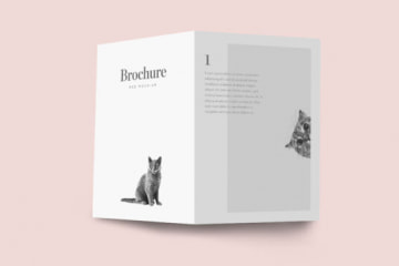 In ấn brochure- chiến lược kinh doanh